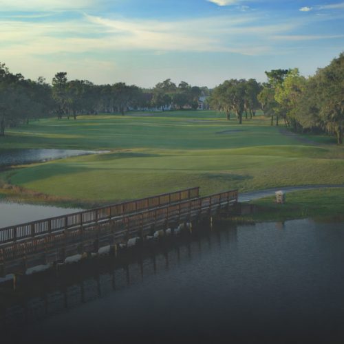 Serene boardwalk over calm waters