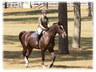 Horseback riding in Citrus County